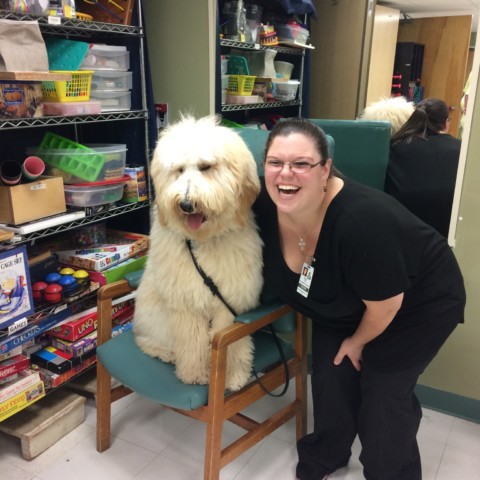 Therapy Dog In-Training Logan Visits at with OT Erin at Glen Hill