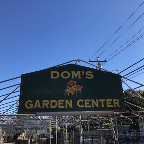 Dom's Garden Center! Thank you for donating to the Mayor's Fall Festival!