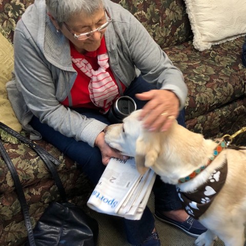 Angie visits with certified therapy dog Zeb