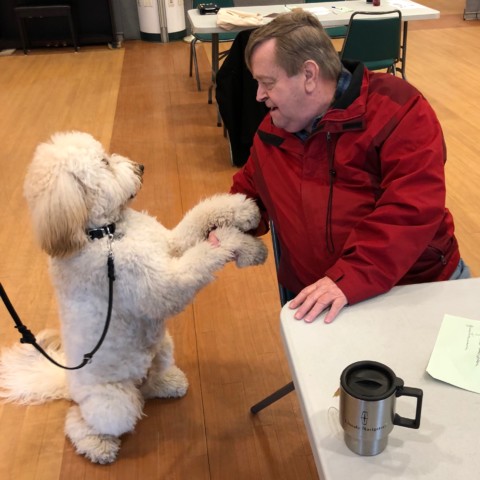 Therapy Dog In-Training Logan greets Terry